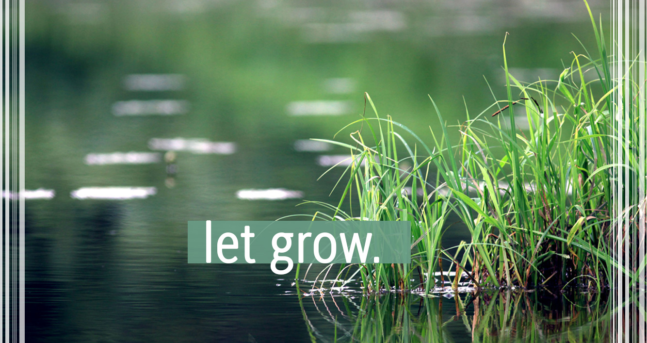 let_grow_AI_2026